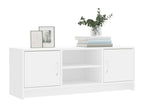 Meuble TV blanc 102x30x37,5 cm bois d'ingénierie DVIU47300