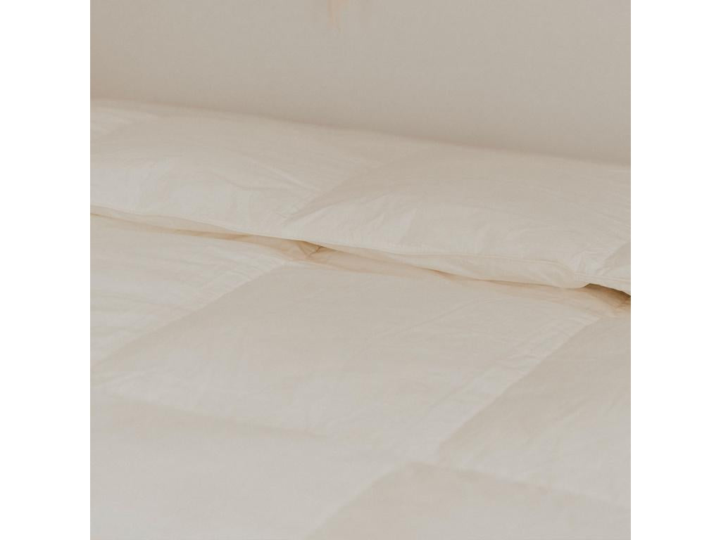 Chezlova - Couette NATURA 140x200 cm - Couette / Plumes VBIZ45975